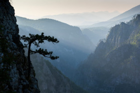 The canyon of Komarnica: of cliffs, eagles and trees